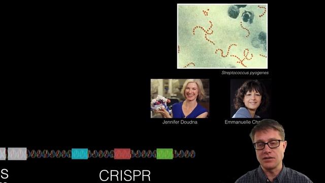 What is CRISPR? смотреть онлайн