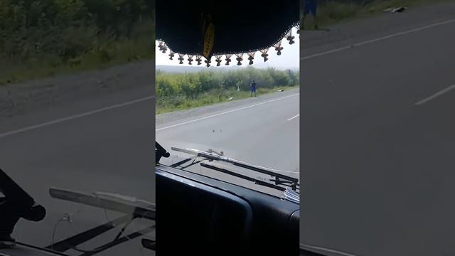 Горно алтайск дикие люди аккуратней там пдд не знают смотреть онлайн