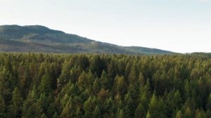 Самые Жуткие и Загадочные Места На Планете!