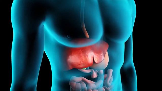 Kepenų ligos – aktuali sveikatos problema смотреть онлайн