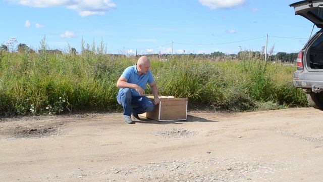 16 серия.Первая тренировка молодых спортивных голубей.The first training of young sports pigeons. смотреть онлайн