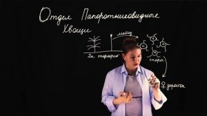 Жизненный цикл Хвощей