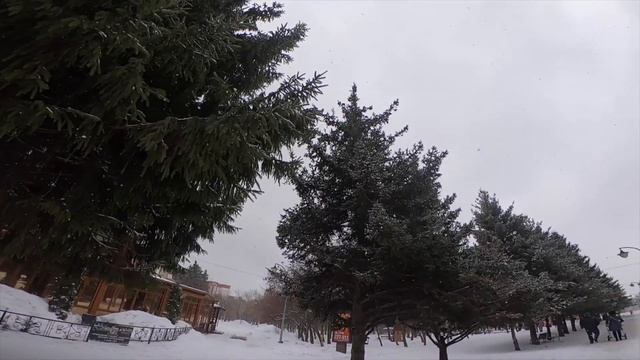 Липецк. Природа Парка Победы.#GoProHERO7Black Замедленная Съемка 4K смотреть онлайн