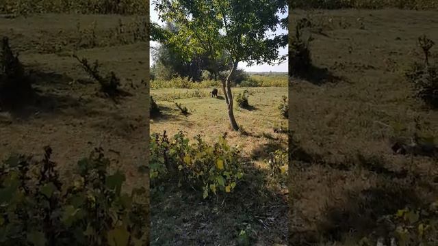 Дельта Дуная Вилково смотреть онлайн