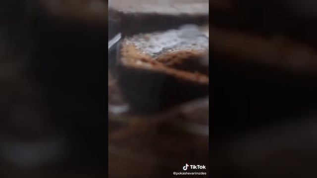 Поваренная Магия