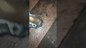 замена ГРМ рено кангу 1.9 дизель