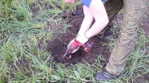 УДАЛИТЬ ПОРОСЛЬ И ПЕНЬКИ ЛЕГКО!