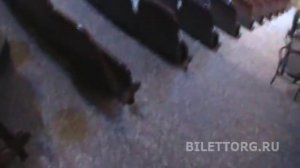 схема зала Цирк на цветном, обзор зала