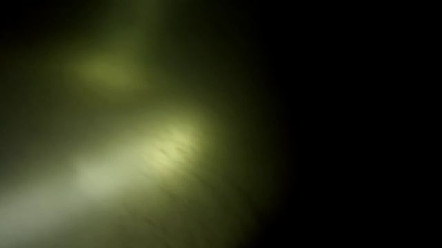 Жизнь угря [ ночная съёмка ] смотреть онлайн