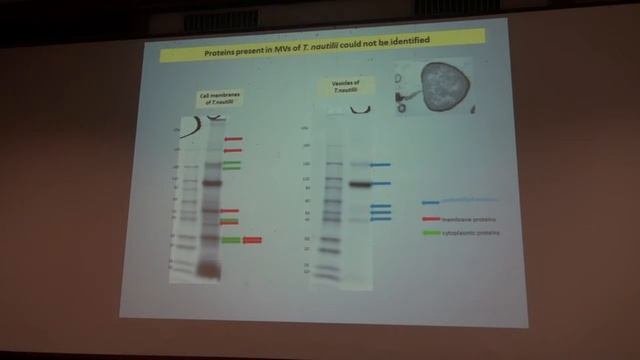 Séminaire Patrick FORTERRE - 16-02-2015 - ifr48 смотреть онлайн