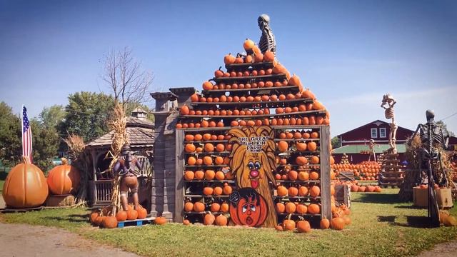 Welcome 716 visits The Great Pumpkin Farm - Explore Buffalo Niagara смотреть онлайн