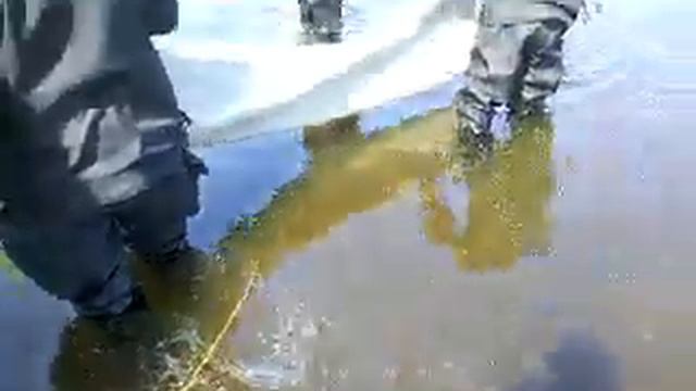 Зарыбление Днепра 27 апреля. Днепропетровск. Ч1. смотреть онлайн