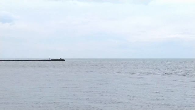 #крым Черноморский район .Пляжи и отдыхающие. 26 06 2022 смотреть онлайн