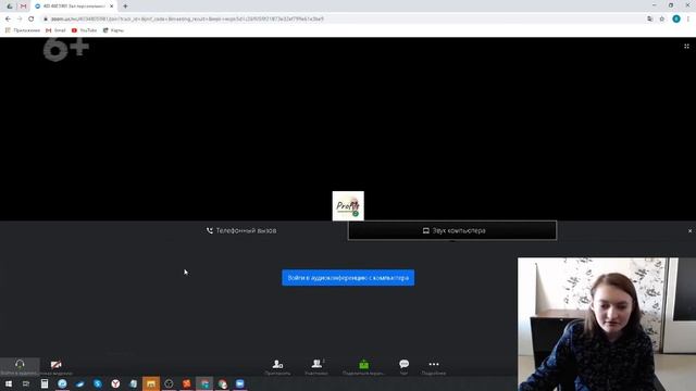 Можно ли войти с браузера в конференцию ZOOM не имея скачанного приложения и дополнений смотреть онлайн