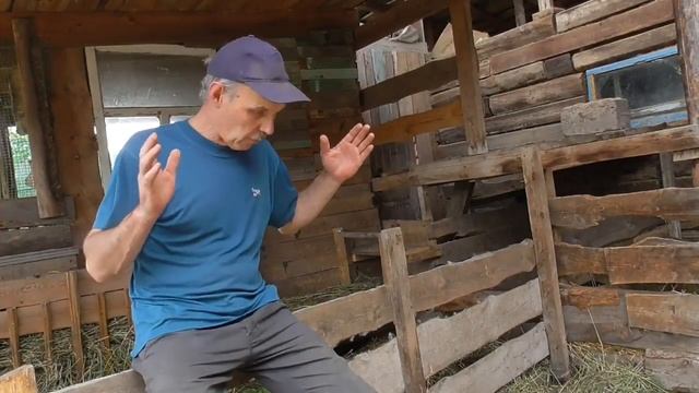 Кормушка для коз своими руками//Первая ступень смотреть онлайн