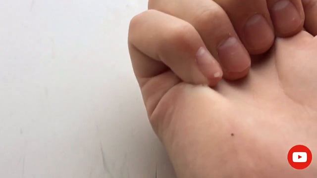 Дом и Ремонт в Эфире