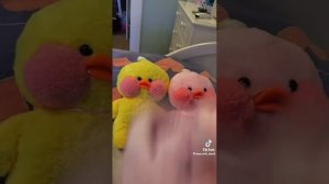 уточки Лала фан фан