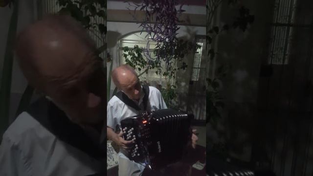 SOUS LE CIEL DE PARIS. Accordéon Roland FR 1X смотреть онлайн