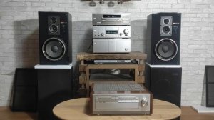 Sony E9000ES+N9000ES