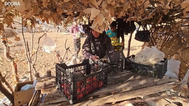 Destruction of Grandma's Farm, Very Sad? смотреть онлайн