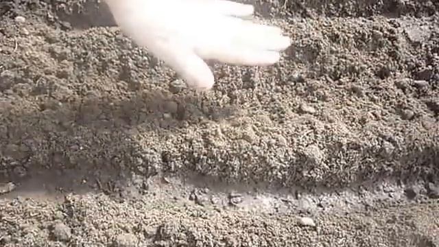 1 посев капусты в теплицу на рассаду смотреть онлайн