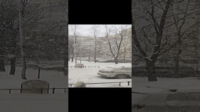 VID_20230308_092511578.mp4