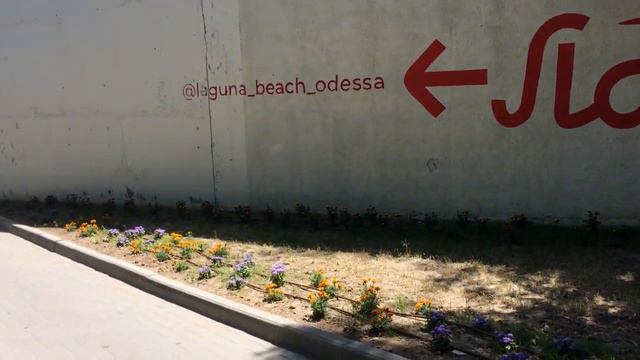 Одесса - ситуация на пляжах сегодня. смотреть онлайн