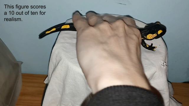 Fire Salamander Toy Review смотреть онлайн