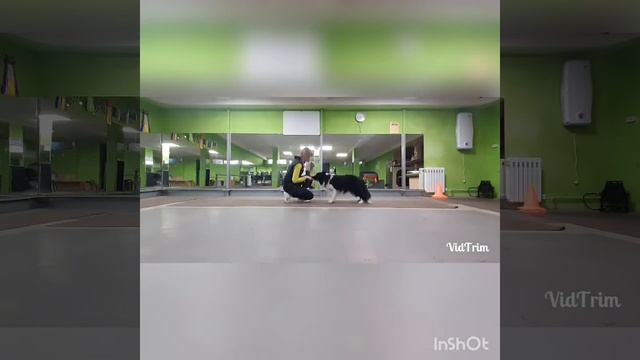 Сборная солянка