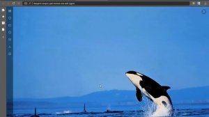 НЕ ОТКРЫВАЕТСЯ САЙТ. ЧТО ДЕЛАТЬ?