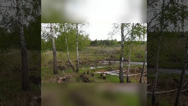 Заокский район, Покровское-Южное, участок 149,41 сот смотреть онлайн