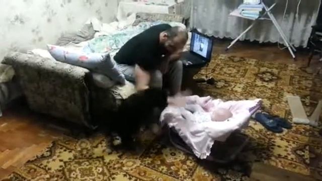 Материнский инстинкт у кошки. смотреть онлайн