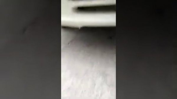 Toyota Funcargo стала выше и нигде не цепляет.