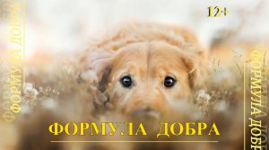 Книжный обзор "Формула добра"
