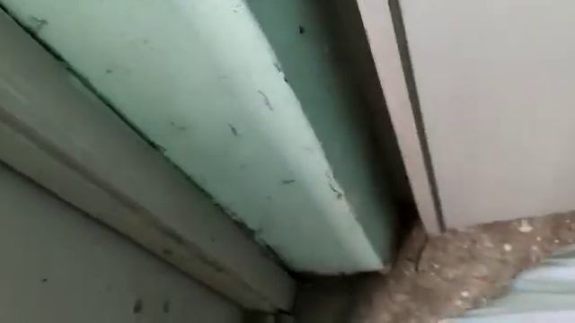 (переснято) лифты кмз и млм 1989 в доме серии АППС смотреть онлайн