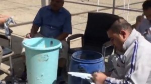 1400 голубей в небе: Иранские, Тегеранские и Пакистанские голуби из г. Тегеран 🔥  Kabootar bazi 🔥