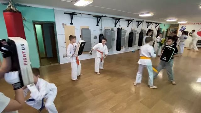 Утренняя тренировка 06 апреля 2022 года. Киокусинкай каратэ в Климовске на Западной 12. смотреть онлайн