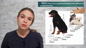 Основные настройки аппарата УЗИ