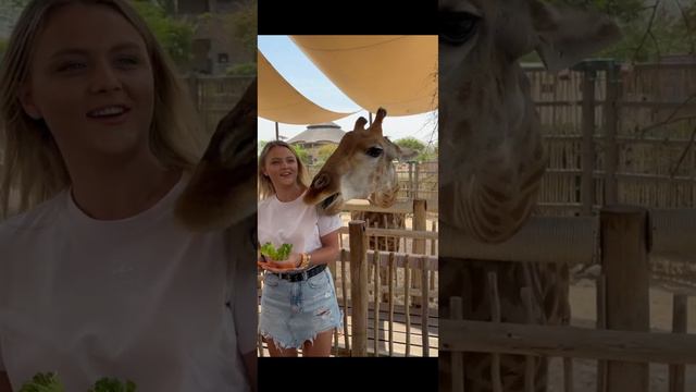 не важно когда,не важно где,но Мы всегда будем вместе #дети #shakira #sakirawhenever смотреть онлайн