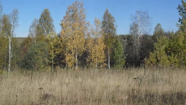 Здравствуй, Осень! смотреть онлайн