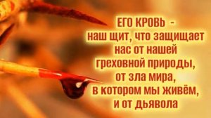 Свет Спасения