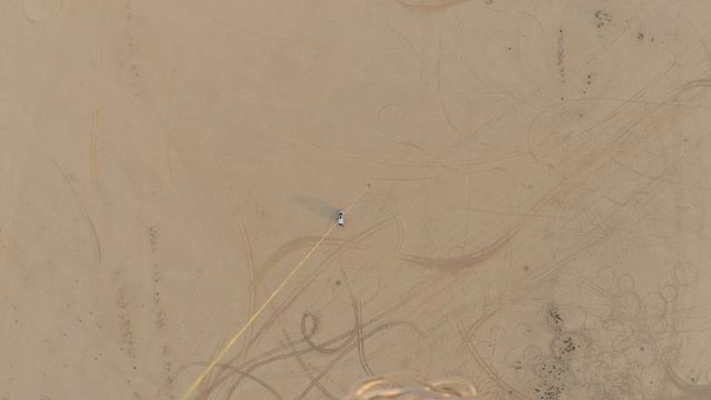 Drone used for exercising a falcon смотреть онлайн