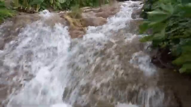 Amazing !!! Little Dunn's River Waterfalls & Beach Attractions || Places to go in Jamaica смотреть онлайн