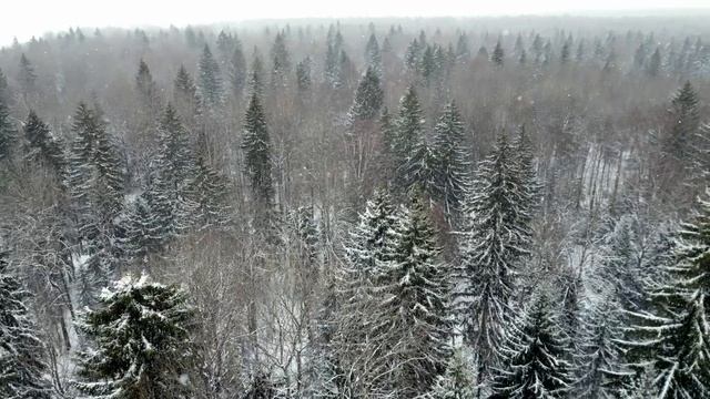 Престольный праздник в маленьком храме. Неделя о Страшном Суде и разговор о Евангелии. смотреть онлайн