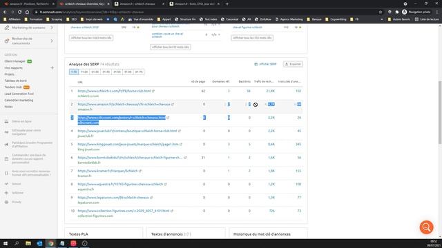Trouver Des Idées Des Niches SEO (MFA & E-commerce) Avec SEM Rush Et Amazon