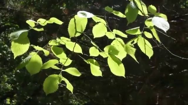 Люблю проводить с ней время Стихи Миша Фреш смотреть онлайн