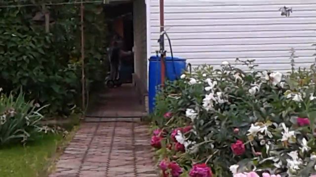 Гуляем 1 часть смотреть онлайн