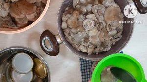 Маринованные грибы "синяя ножка".