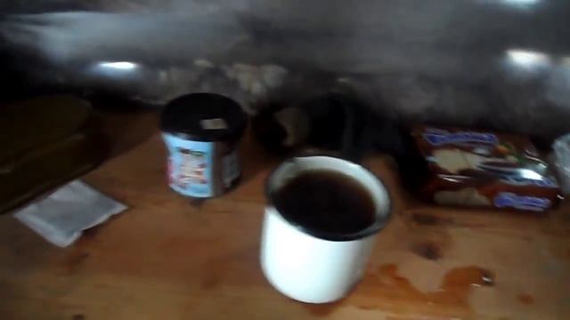 Вылазка в лачугу(новый котелок,чай,прогулка) смотреть онлайн