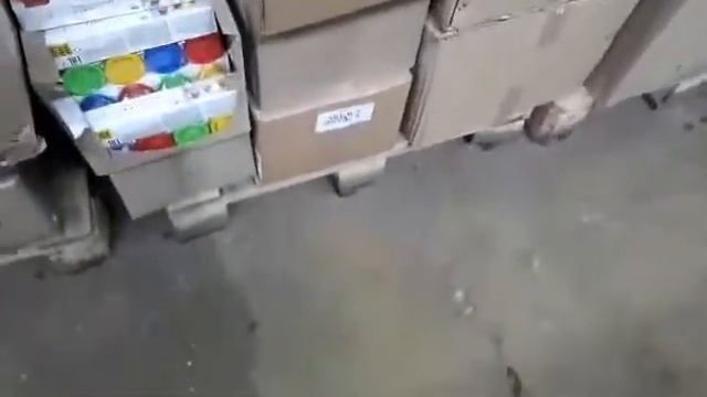 Мыши в магазине СВЕТОФОР попить пришли смотреть онлайн